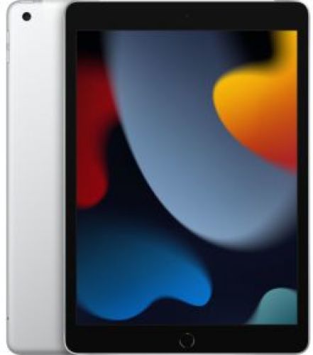 Apple iPad 4G LTE 256 GB 25,9 cm (10.2 ) Wi-Fi 5 (802.11ac) iPadOS 15 Zilver