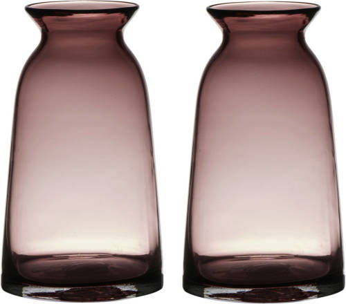 Bellatio Decorations Set Van 2x Stuks Transparante Home-basics Roze Glazen Vaas/vazen 23.5 X 12.5 Cm - Vazen