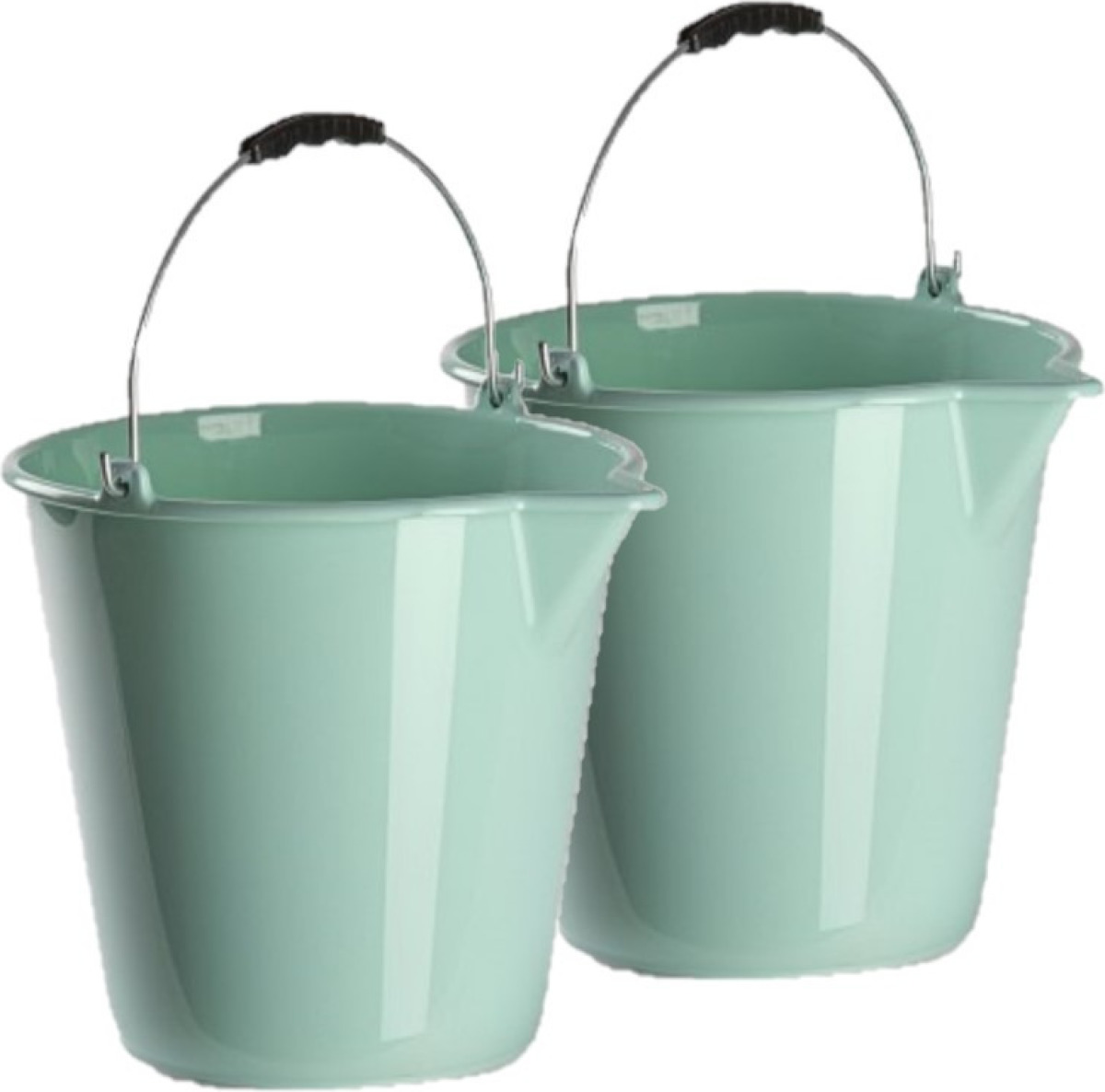 Forte Plastics 2x stuks kunststof emmers met schenktuit mint groen 12 liter