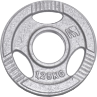 Halterschijf 30 mm - Focus Fitness Hamerton - 1,25 kg - Gietijzer