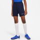Nike sportshort donkerblauw/wit