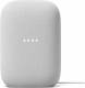 Google Nest Nest Audio (licht grijs)