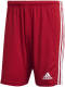 adidas Performance Senior Squadra 21 sportshort rood/wit