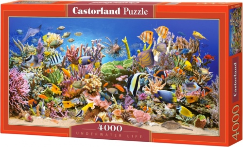 Castorland legpuzzel Underwater Life 4000 stukjes