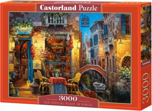 Castorland legpuzzel Our Special Place in Venice 3000 stukjes