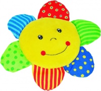 Cause Rammelaar ZON