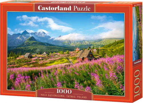 Castorland legpuzzel polen karton 1000 stukjes