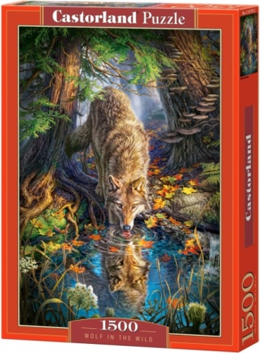 Castorland legpuzzel Wolf in the Wild 1500 stukjes