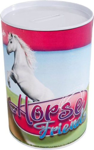 Horse Friends spaarpot meisjes 8,5 x 11,5 cm staal roze/blauw