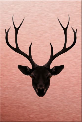 Wall-Art Aluminium-dibondprint Ierland - The black Deer - zwart edelhert