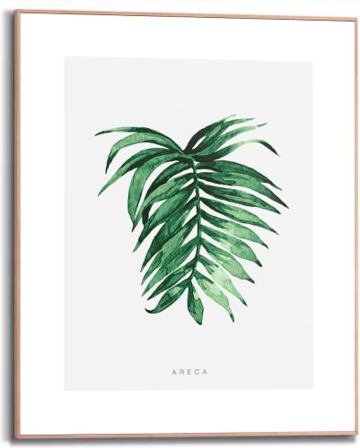 Reinders! Artprint met lijst Areca Leaf (1 stuk)