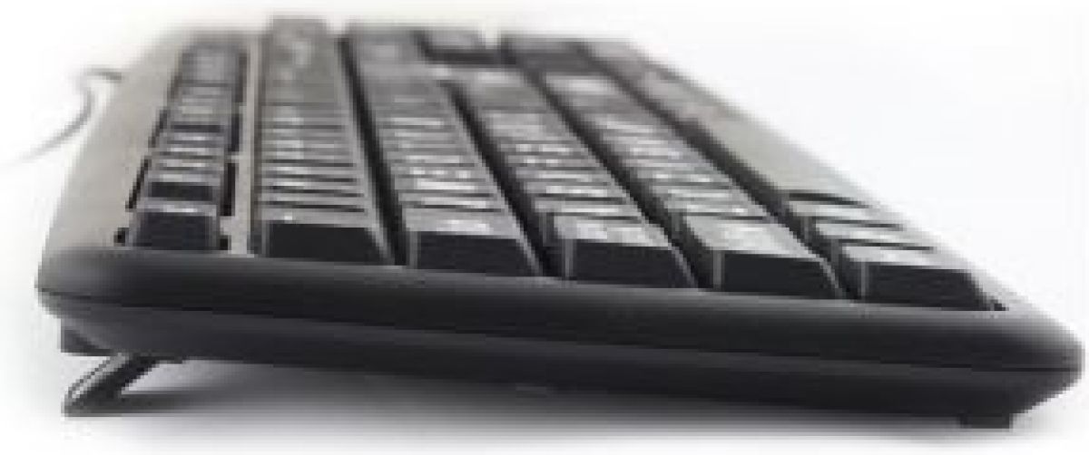 Esperanza EK129 toetsenbord USB QWERTY Brits Engels Zwart