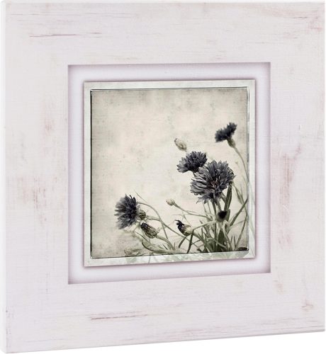 Home affaire Artprint op hout Korenbloemen 40/40 cm