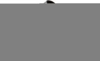 Lico Slippers Bioline Lady Classic