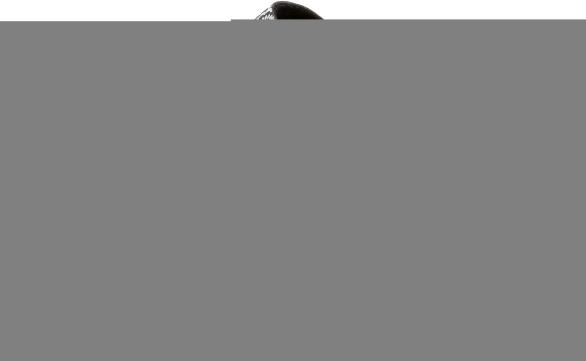 Lico Slippers Bioline Lady Classic