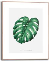 Reinders! Artprint met lijst Monstera Leaf (1 stuk)