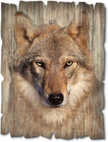 Artland Artprint op hout Wolf (1 stuk)
