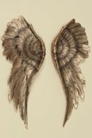 Home affaire Sierobject voor aan de wand Engelenvleugel goud (2 stuks)