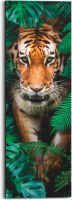 Reinders! Artprint op hout Walking Tiger (1 stuk)