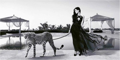 My Home Decoratief paneel JULIAN LAUREN / Woman with Cheetah 100x50 cm