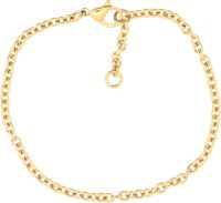 Firetti Edelstalen armband Ankerschakels, 2,9 mm breed, goudkleur Made in Germany