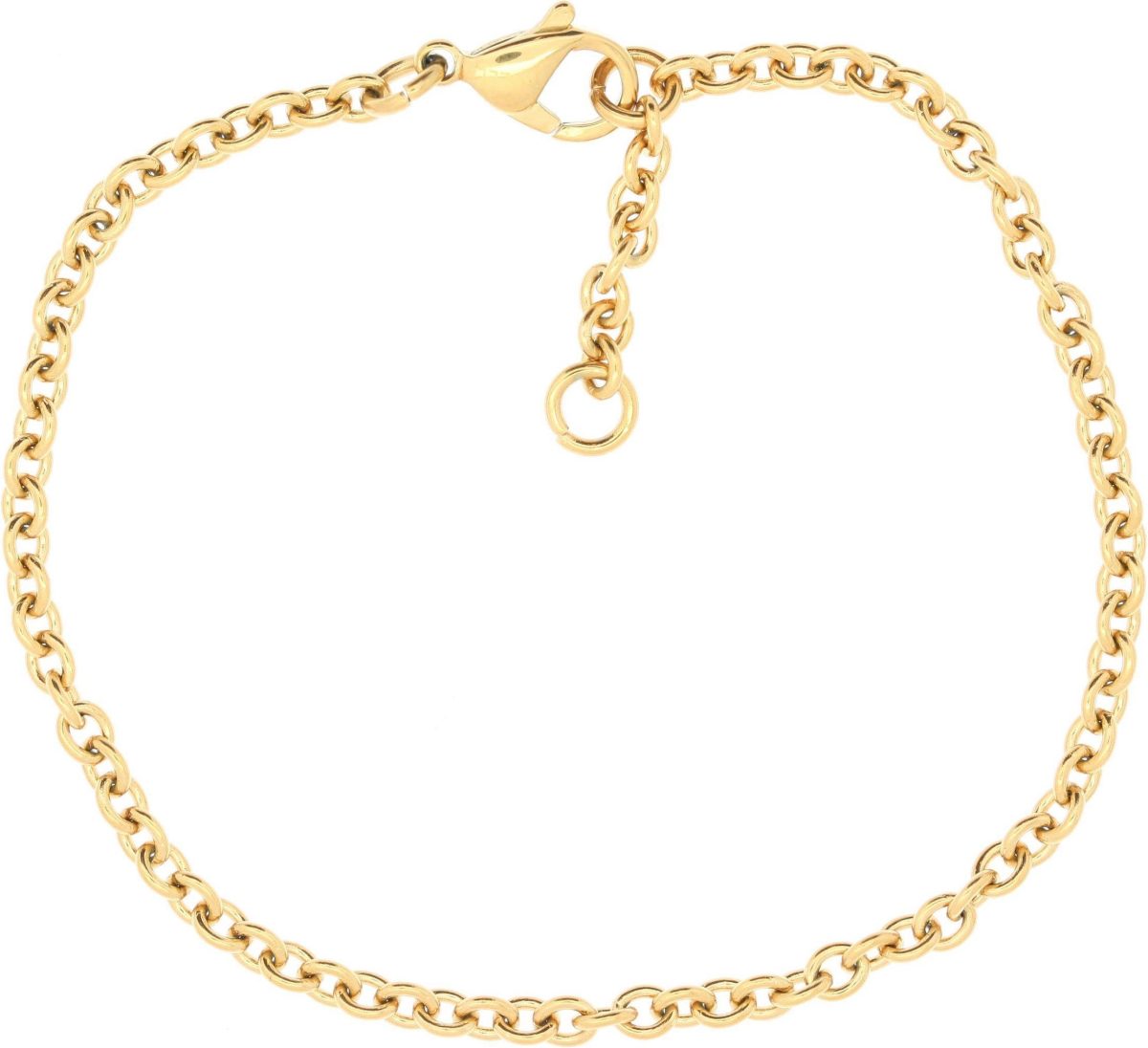 Firetti Edelstalen armband Ankerschakels, 2,9 mm breed, goudkleur Made in Germany