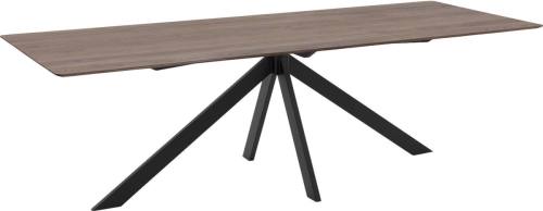 Goossens Excellent Eettafel Ferris Piramide Poot, Rechthoekig 260 x 100 cm