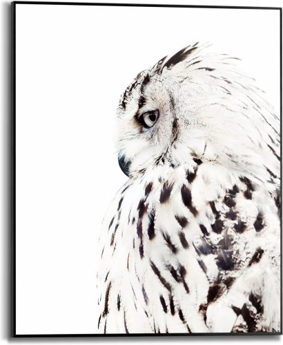 Reinders! Artprint met lijst White Owl (1 stuk)