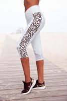 Bench. Caprilegging