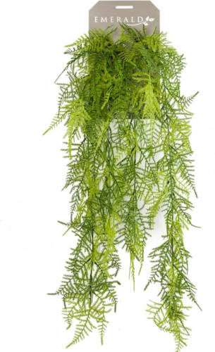 Emerald Kunstplant Sierasperge 80 Cm