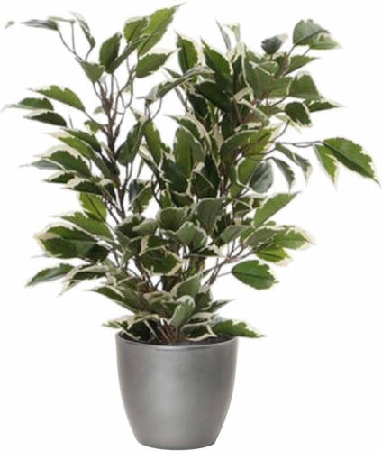 Mica Decorations Groen/witte Ficus Kunstplant 40 Cm Met Plantenpot Zilver Metallic D13.5 En H12.5 Cm - Kunstplanten