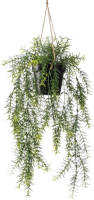 Emerald Kunstplant Hangend In Pot Asparagus 50 Cm