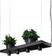 Nowodvorski Hanglamp Plant 4 Lichts L 80 Cm B 24 Cm Zwart