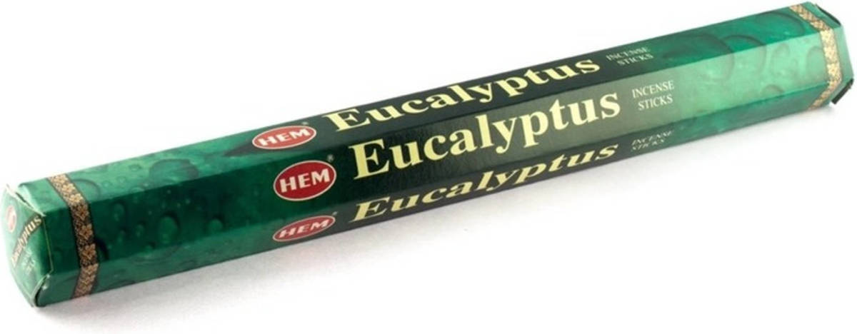 Hem 1x Wierook Eucalyptus Met 20 Stokjes - Wierookstokjes