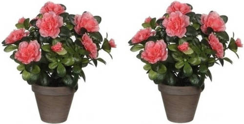 Mica Decorations 2x Groene Azalea Kunstplanten Perzikkleurige Bloemen 27 Cm - Kunstplanten