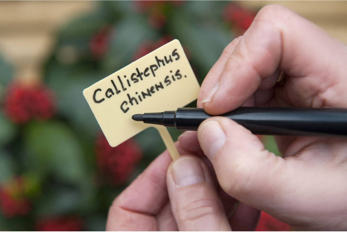 Nature Plaatetiketten Incl.tuinstift H13cm Set A 10 Stuks