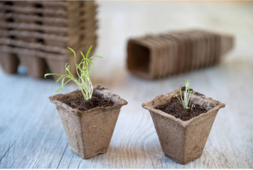 3 Stuks Turfpot H6x6x6cm Set A 16 Stuks Nature
