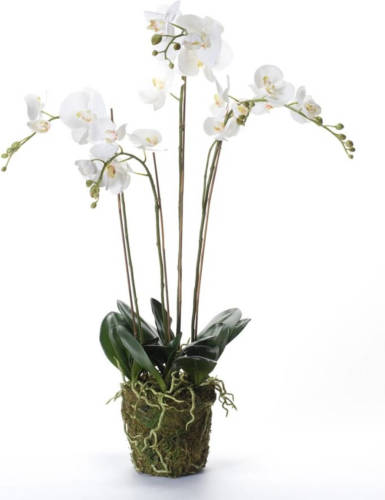 Emerald Kunstplant Orchidee Met Mos Wit 90 Cm 20.355