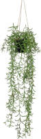 Emerald Kunstplant Hangend In Pot Senecio 70 Cm