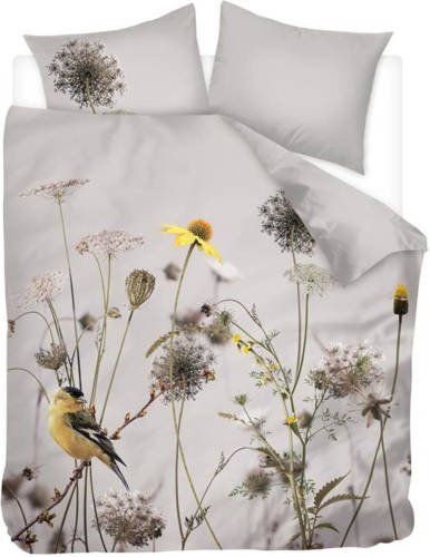 Snoozing Goldfinch - Flanel - Dekbedovertrek - Lits-jumeaux - 260x200/220 Cm - Multi Kleur