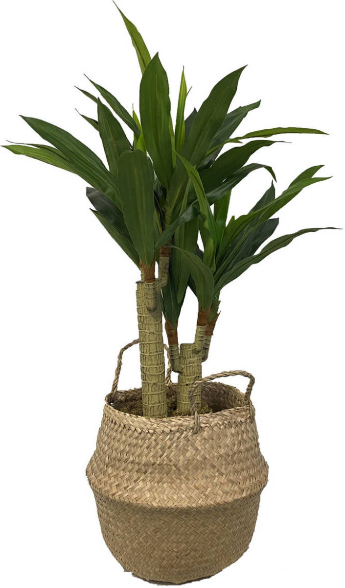 CUHOC Levensechte Kunst Dracaena Fragans 90 Cm Met Pot