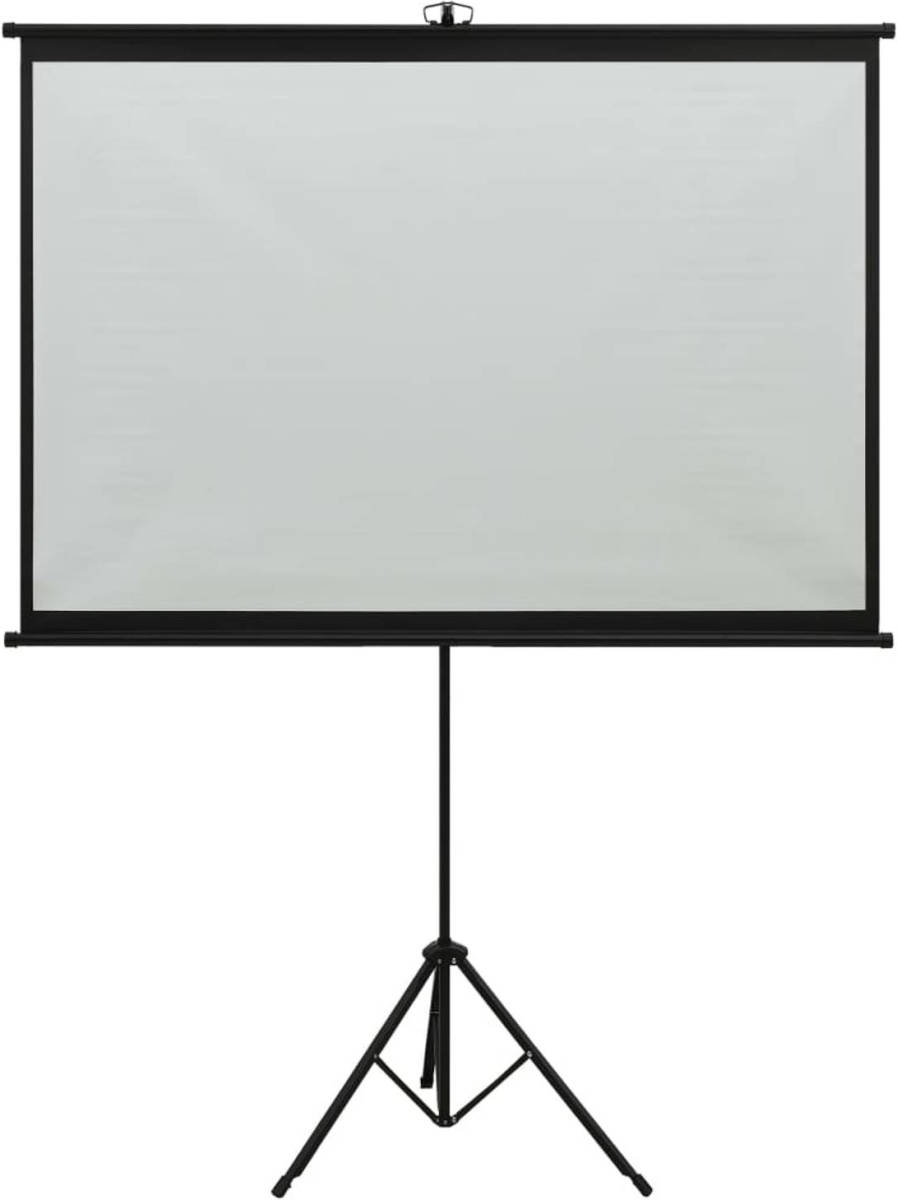 VidaXL Projectiescherm Met Statief 1:1 47''