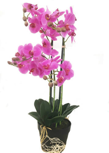 CUHOC Levensechte Kunst Orchidee / Phalaenopsis Plant 75 Cm Met Pot ( 5-taks Vol Bloemen) Kleur Roze