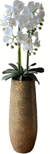 CUHOC Levensechte Kunst Orchidee / Phalaenopsis Plant 75 Cm Met Zwarte Pot ( 5-taks Vol Bloemen) Kleur Wit