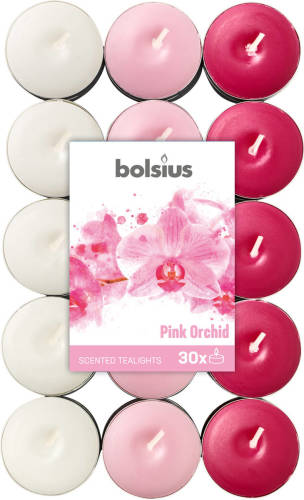 Bolsius Geurkaarsen Theelicht Pink Orchid Roze/wit 30 Stuks