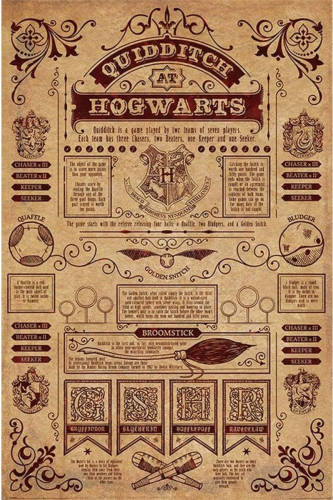 Pyramid Harry Potter Quidditch At Hogwarts Poster 61x91,5cm