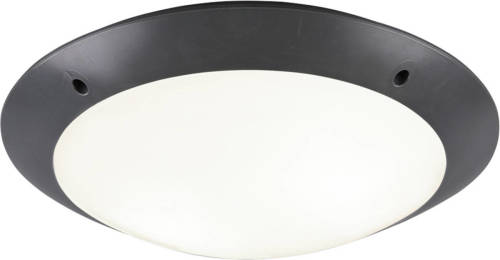 BES LED Led Plafondlamp - Trion Camiro - Opbouw Rond - Waterdicht Ip54 - E27 Fitting - 2-lichts - Mat Zwart - Kunststof