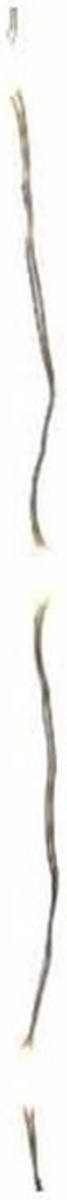 Bellatio Decorations Timer Draadverlichting Zilverdraad 60 Warm Witte Lampjes -295 Cm